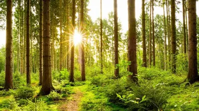 Gabinet Psychoterapii - JestemTu